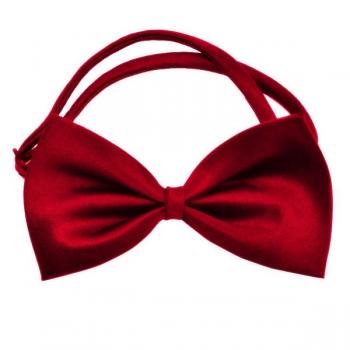 Kedi Köpek Papyonu Renkli Parlak Kumaş Kırmızı 40*20 cm