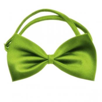 Kedi Köpek Papyonu Renkli Parlak Kumaş Yeşil 40*20 cm