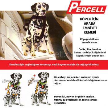 Percell Araba Emniyet Kemeri Large, 15-25 kg