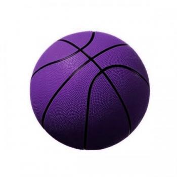 Sesli Köpek Oyuncağı Basket Topu 7 cm Mor
