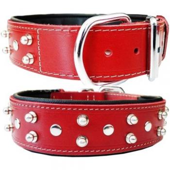 Doggie Comfort Topuzlu Deri Boyun Tasması 4x70cm Kırmızı