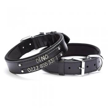 Doggie Deri Çift İsimlikli Köpek Tasması 3,5x47x55 cm Siyah