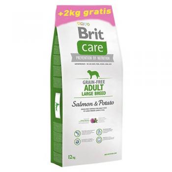 Brit Care Tahılsız İri Irk Somon Balıklı Yetişkin Köpek Maması 12+2 Kg