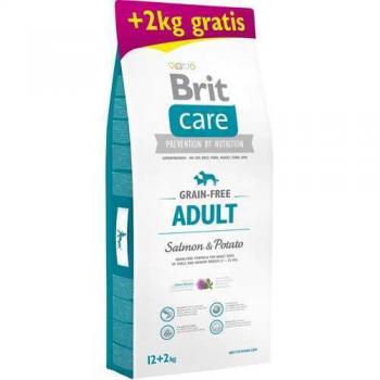 Brit Care Tahılsız Somon Balıklı Yetişkin Köpek Maması 12 + 2 Kg