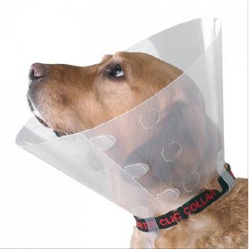 Elizabeth Kedi Köpek Yakalığı 7,5 cm ( 22-25 cm)