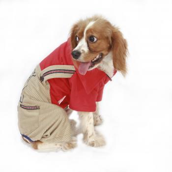 Cool Dude Tulum Kedi Köpek Tulumu Kıyafeti Small