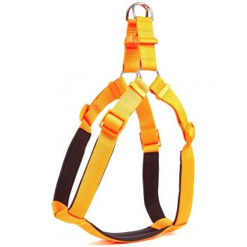 Doggie Comfort Ronin Köpek Bel Tasması 3cm-75 x 85 cm 3X-Large Turuncu