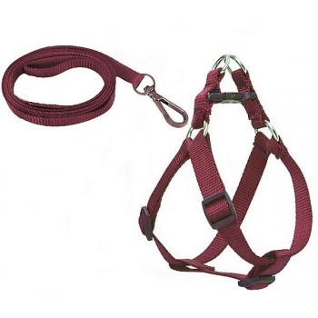 Köpek Göğüs Tasma Seti 25-40 cm Kırmızı + Gezdirme Kayışı