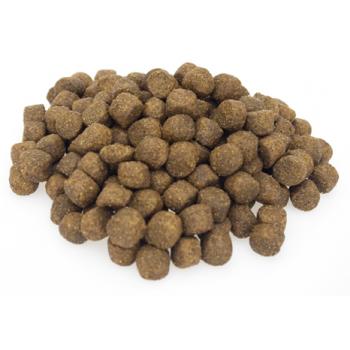 Somon Balıklı Yetişkin Köpek Maması 5 Kg Açık Mama