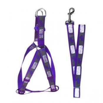 Köpek Göğüs Bel Tasma Ve Gezdirme Seti 120*2.5 cm 30-45 cm*2.5 cm Turuncu