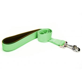 Markapet Köpek Gezdirme Kayışı 2 cm x 115 cm Yeşil