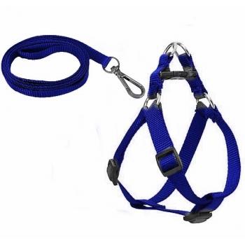 Köpek Göğüs Tasma Seti 25-40 cm Mavi+ Gezdirme Kayışı