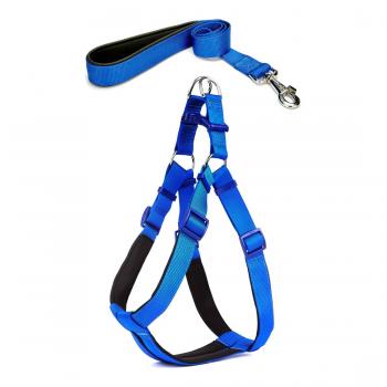 Köpek Göğüs Tasma Seti 30-40 cm Mavi + Gezdirme Kayışı