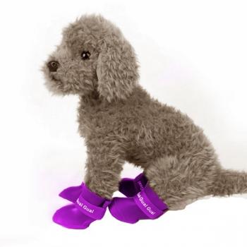 Bantlı Köpek Ayakkabısı 4'lü Set Mor 4,7-5,7 cm Large