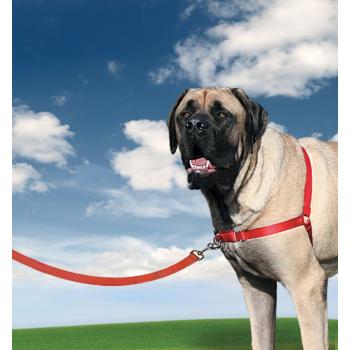 Easy Walk Harness Köpek Göğüs Tasması X Small