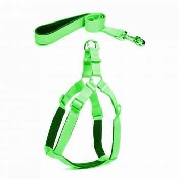 Köpek Göğüs Tasma Seti 30-40 cm Yeşil + Gezdirme Kayışı