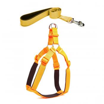 Köpek Göğüs Tasma Seti 30-40 cm Sarı + Gezdirme Kayışı