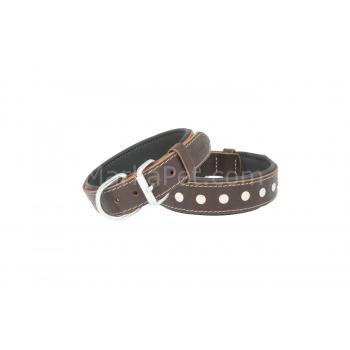 Doggie Rivetli Deri Köpek Boyun Tasması 2,5*50 cm Kahverengi