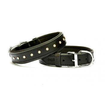 Doggie Kristal Taşlı Köpek Boyun Tasması 3 cm / 55 cm Siyah