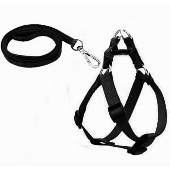 Köpek Göğüs Tasma Seti 25-40 cm Siyah + Gezdirme Kayışı