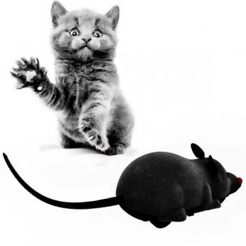 Kedi Oyuncağı Tekerlekli Fare 4 cm / 16 cm Siyah