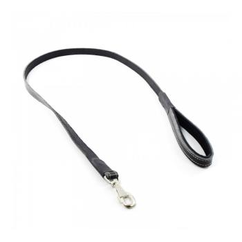 Deri Köpek Gezdirme Kayışı 2 cm x 130 cm