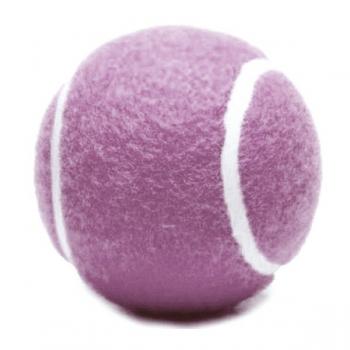 ANS Köpek Tenis Oyun Topu Pembe 6 cm