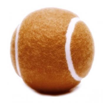 ANS Köpek Tenis Oyun Topu Turuncu 6 cm