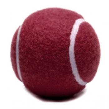 ANS Köpek için Sert Tenis Oyun Topu Bordo 6 cm