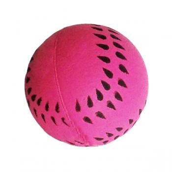 Trixie Köpek Oyuncağı Tenis Topu 5 cm Pembe