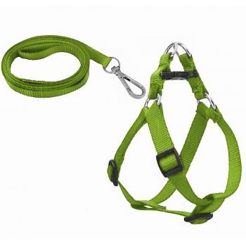 Köpek Göğüs Tasma Seti 30-50 cm Yeşil + Gezdirme Kayışı